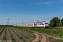 Adtranz 33113 - DB Fernverkehr "101 003-2"
22.05.2022 - Hürth-Fischenich
Fabian Halsig