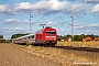 Adtranz 33219 - DB Fernverkehr "101 109-7"
13.09.2022 - Nienburg (Weser)
Patrick Bock
