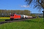 Adtranz 33367 - DB Cargo "145 048-5"
04.05.2016 - Retzbach- Zellingen
Marcus Schrödter