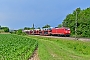 Adtranz 33384 - DB Cargo "145 060-0"
05.06.2018 - Auggen
Marcus Schrödter