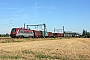 Alstom BB36019 - AKIEM "36019"
05.09.2013 - Ekeren
Ronnie Beijers