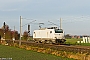 Alstom CON 026 - ITL Eisenbahngesellschaft "E 37 526"
14.11.2013 - Hohnhorst
Marc Olivé