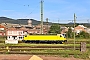 Alstom ? - RJP "8 223"
12.08.2024 - Kassel, Rangierbahnhof
Christian Klotz 