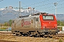 Alstom CON 005 - Veolia "E 37505"
26.04.2008 - Le Boulou
Thierry Leleu