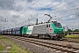 Alstom FRET T 003 - SNCF "437003"
05.06.2024 - Oberhausen, Abzweig Mathilde
Rolf Alberts