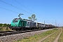Alstom FRET T 023 - Rhenus Rail "437 023"
23.04.2020 - Wiesental
Wolfgang Mauser