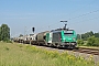 Alstom FRET T 025 - Wincanton Rail "437025"
28.06.2010 - Vogelbach
Nicolas Hoffmann
