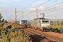 Alstom FRET T 028 - VFLI "37028"
06.06.2012 - St-Chamas
Nicolas Villenave