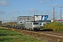 Alstom FRET T 029 - Rhenus Rail "37029"
04.11.2020 - Hilden
Denis Sobocinski