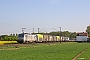 Alstom FRET T 032 - Rhenus Rail "37032"
28.04.2022 - Meerbusch-Ossum-Bösinghoven
Ingmar Weidig