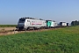 Alstom FRET T 042 - AKIEM "37042"
24.08.2013 - Wegberg-Klinkum
Wolfgang Scheer