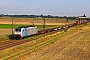 Bombardier 35402 - Crossrail "186 447-9"
25.07.2024 - Bobenheim-Roxheim
Wolfgang Mauser