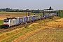 Bombardier 35305 - Crossrail "186 450-3"
25.07.2024 - Bobenheim-Roxheim
Wolfgang Mauser