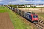 Bombardier 33565 - SBB Cargo "482 016-3"
02.10.2024 - Bobenheim-Roxheim
Wolfgang Mauser