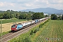 Bombardier 33575 - SBB Cargo "482 020"
24.06.2024 - Tenningen
Jean-Claude Mons