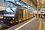 Bombardier 33784 - DB Regio "185 555-0"
16.11.2016 - Stuttgart, Hauptbahnhof
Bert van Caem