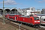 Bombardier 33996 - DB Regio "146 115"
11.04.2022 - Kiel, Hauptbahnhof
Tomke Scheel