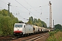 Bombardier 34359 - ITL "E 186 138"
21.09.2009 - Leipzig-Thekla
Marcel Langnickel