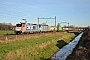 Bombardier 34411 - SBB Cargo "E 186 181-4"
16.01.2012 - Breda
Coen Ormel