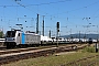Bombardier 34937 - BLS Cargo "187 003-9"
28.06.2019 - Basel, Badischer Bahnhof
Theo Stolz