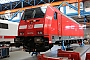 Bombardier 35052 - DB Regio "146 256"
31.08.2019 - Dessau, Werk DB Fahrzeuginstandhaltung
Thomas Wohlfarth