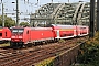 Bombardier 35070 - DB Regio "146 260"
11.09.2020 - Köln 
Rene  Klug 