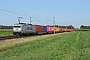 Bombardier 35145 - Metrans "386 006-1"
27.08.2024 - Peine-Woltorf
Gerd Zerulla