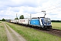 Bombardier 35704 - ČD Cargo "388 009-3"
30.05.2024 - Woltorf
John van Staaijeren