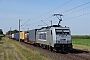 Bombardier 35520 - Metrans "386 031-9"
27.08.2024 - Peine-Woltorf
Gerd Zerulla