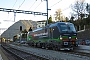 Siemens 22155 - SBB Cargo "193 259"
11.11.2016 - Lugano
Maurizio Lisdero