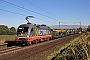 Siemens 20446 - Hector Rail "242 531"
27.09.2018 - Espenau-Mönchehof
Christian Klotz