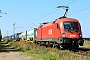 Siemens 20487 - ÖBB "1116 058"
29.08.2024 - Babenhausen-Harreshausen
Kurt Sattig