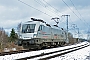 Siemens 20556 - SETG "ES 64 U2-102"
19.02.2013 - Berlin-Wuhlheide
Holger Grunow