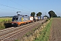 Siemens 20558 - Hector Rail "242.502"
05.09.2013 - Marl
Fokko van der Laan