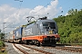 Siemens 20558 - Hector Rail "242.502"
05.07.2013 - Unkel (Rhein)
Daniel Kempf