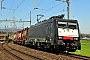 Siemens 20736 - SBB Cargo "ES 64 F4-090"
21.04.2017 - Oberrüti
Peider Trippi
