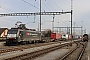 Siemens 20739 - SBB Cargo "ES 64 F4-091"
23.01.2020 - Kaiseraugst
Theo Stolz