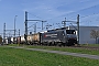 Siemens 20739 - SETG "ES 64 F4-091"
08.04.2018 - Groß Gerau
Marcus Schrödter