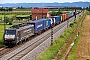 Siemens 20739 - SBB Cargo "ES 64 F4-091"
18.07.2024 - Ladenburg
Wolfgang Mauser