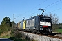 Siemens 20758 - TXL "ES 64 F4-150"
15.10.2011 - Weiching
Thomas Girstenbrei