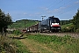 Siemens 20785 - DB Cargo "ES 64 U2-096"
02.09.2016 - Himmelstadt
Holger Grunow