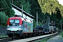 Siemens 20914 - ÖBB "1116 200-5"
20.06.2005 - Wald am Arlberg
J. L. Slager