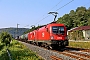 Siemens 20917 - ÖBB "1116 196"
05.09.2024 - Karlstadt (Main)-Gambach
Wolfgang Mauser