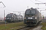 Siemens 21098 - ÖBB "1216 210"
19.11.2011 - Salzburg
Thomas Girstenbrei
