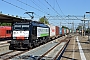 Siemens 21246 - RTB Cargo "ES 64 F4-209"
17.08.2016 - Dordrecht
Steven Oskam