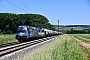 Siemens 21318 - DPB "1216 940"
08.06.2024 - Retzbach-Zellingen
Carsten Klatt