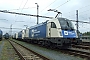 Siemens 21415 - ČD "1216 954"
29.09.2021 - Břeclav
Jaromir Kozinka