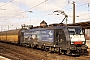 Siemens 21488 - TXL "ES 64 F4-281"
11.03.2015 - Bremen 
Dietmar Lehmann