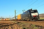 Siemens 21488 - SBB Cargo "ES 64 F4-281"
27.02.2019 - Walluf (Rheingau)
Kurt Sattig