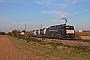 Siemens 21517 - SBB Cargo "ES 64 F4-112"
31.10.2014 - Buggingen
Tobias Schmidt